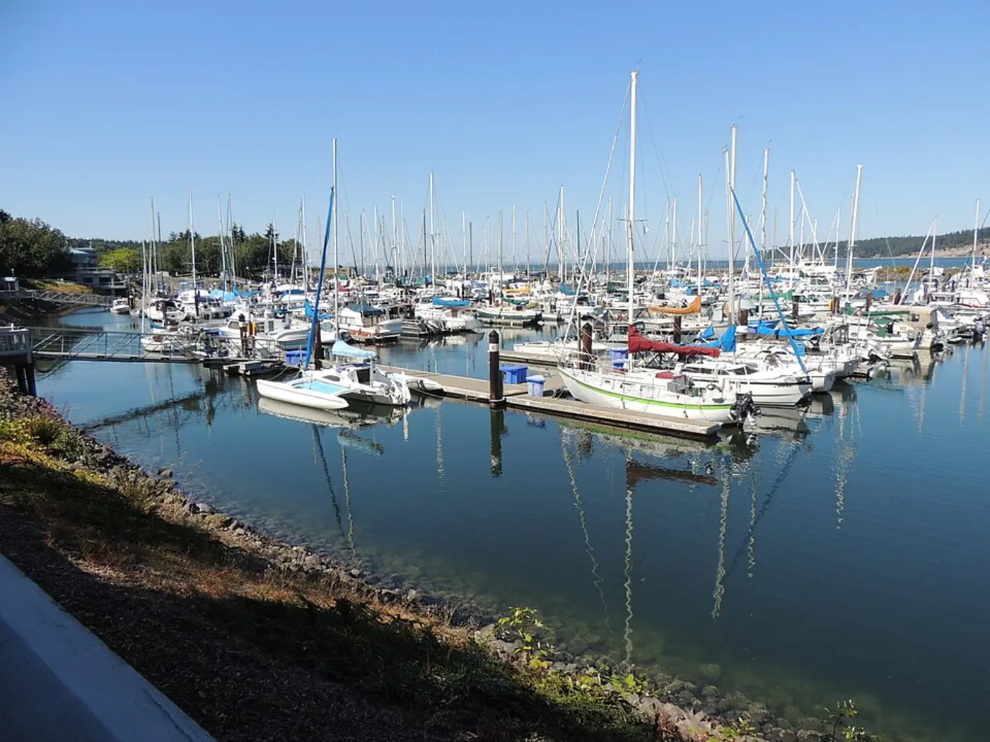 Sailboats and pleasure craft moored on still water at John Wayne Marina, Sequim, Washington